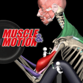 Muscle and Motion – Strength