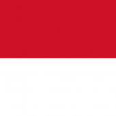 Indonesia VPN – Plugin for OpenVPN